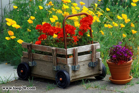 آموزش باغبانی و پرورش گل و گیاه آپارتمانی -  2DVD